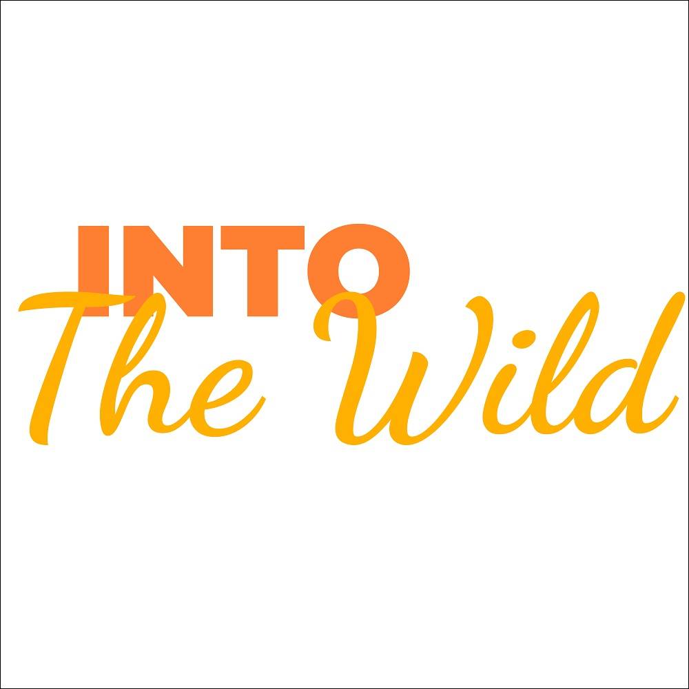 Into The Wild Round Neck T-Shirt